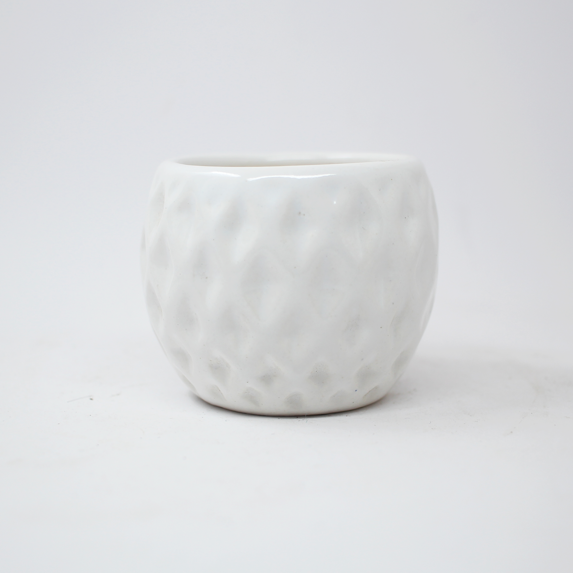 2 White Pineapple Succulent Ball Ceramic Pot
