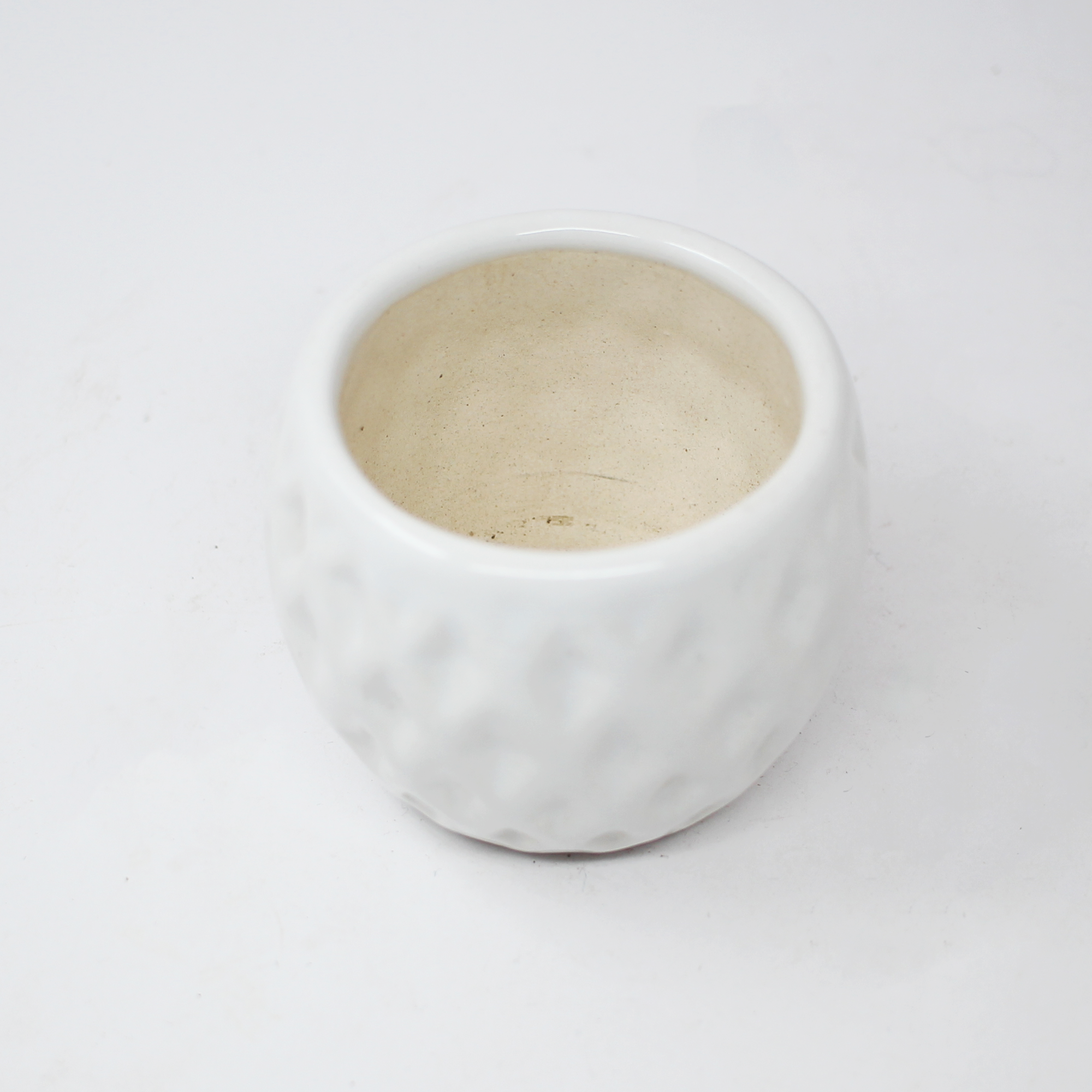3 White Pineapple Succulent Ball Ceramic Pot