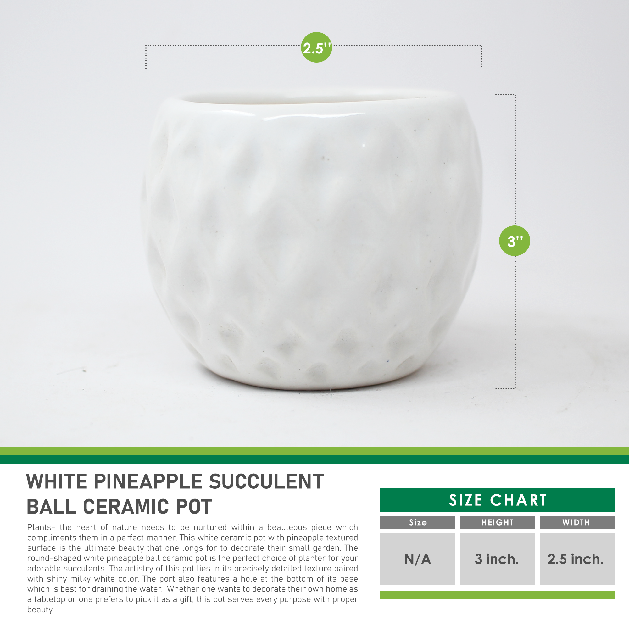 7 White Pineapple Succulent Ball Ceramic Pot