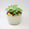 I Love U Ceramic Pot