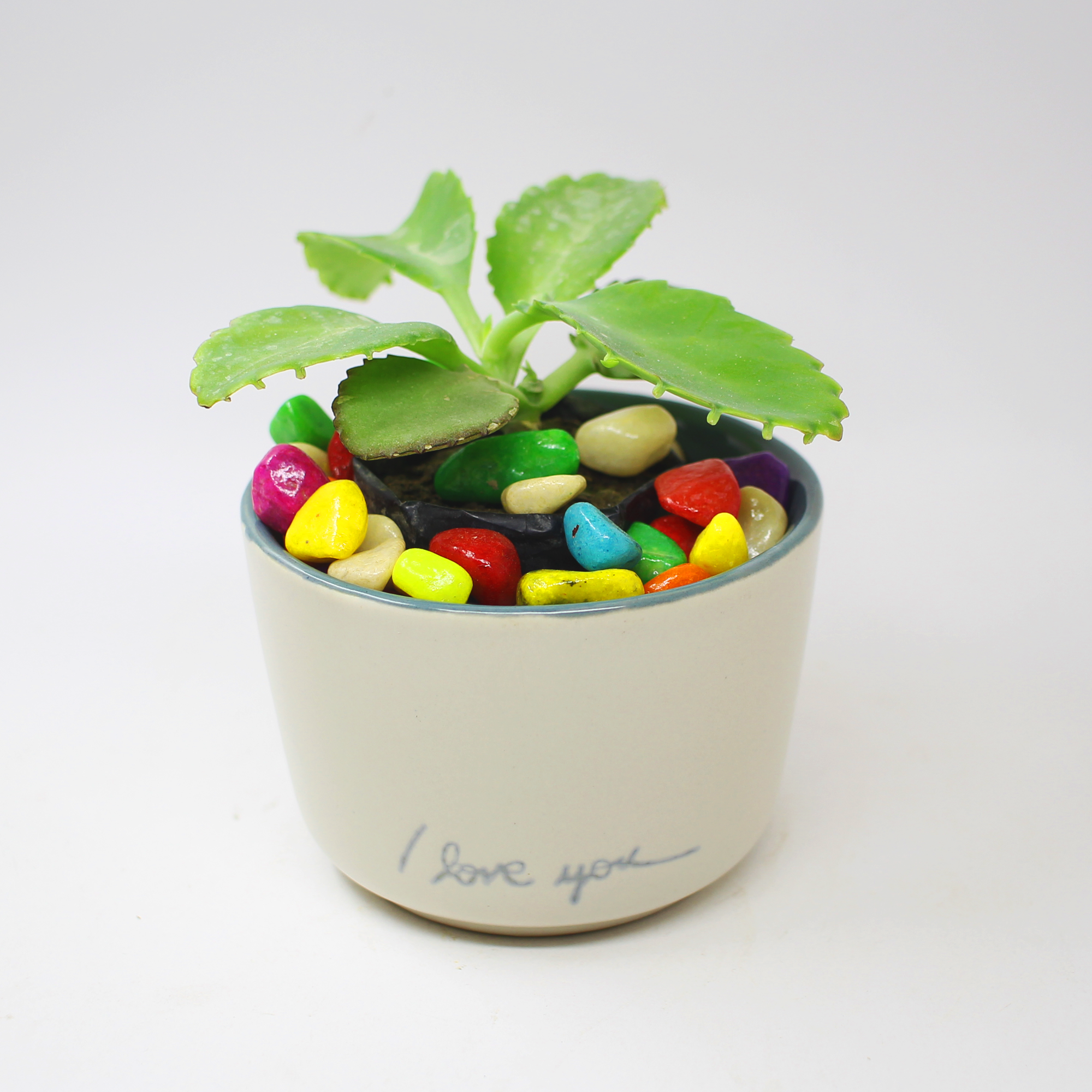 I Love U Ceramic Pot