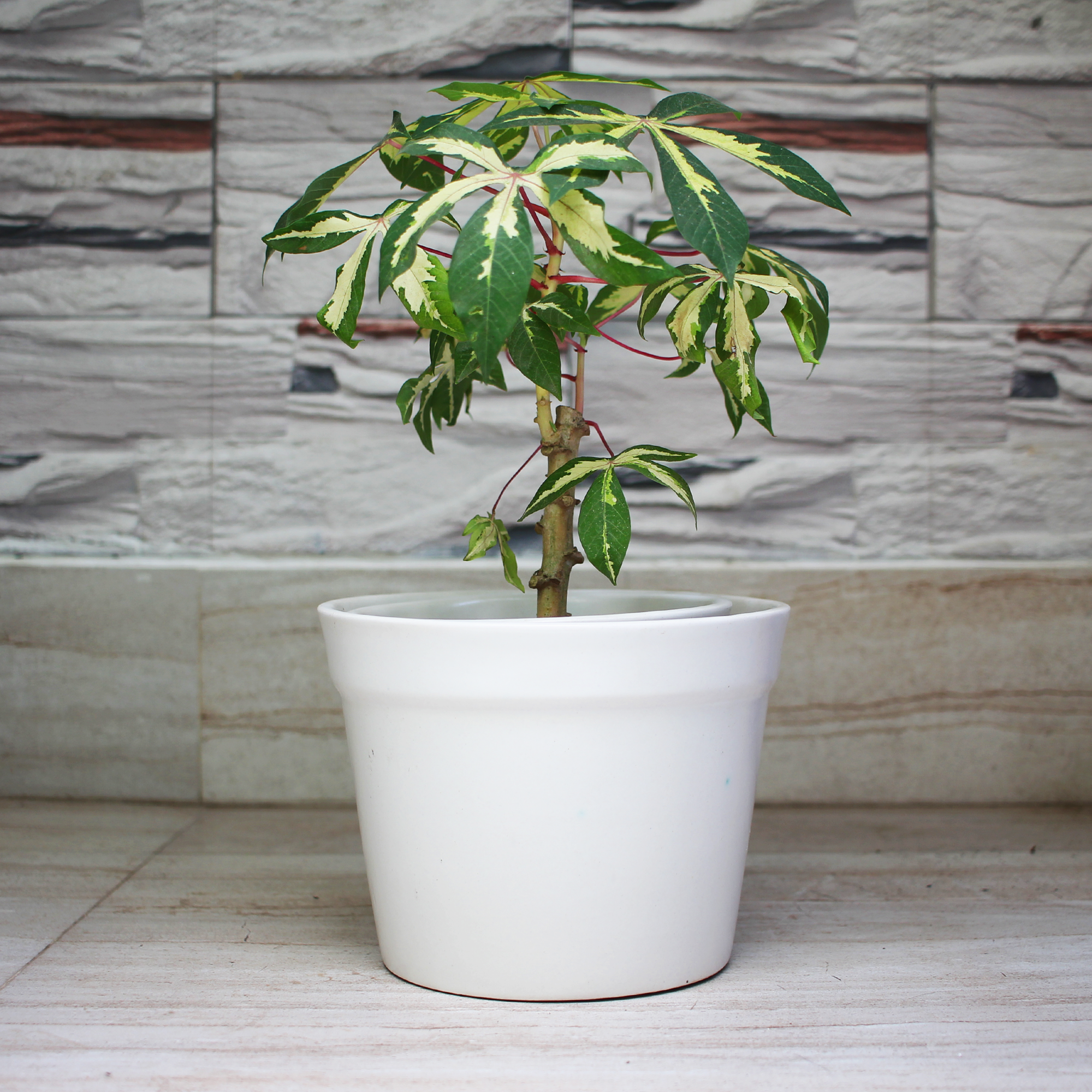 1 (12) Ceramic Bucket Shape Planter