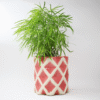 1 Diamond Texture Cylinder Ceramic Planter