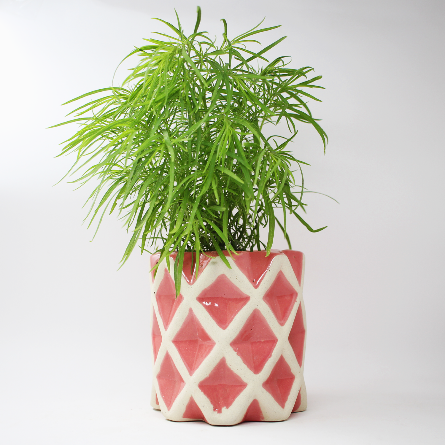 1 Diamond Texture Cylinder Ceramic Planter
