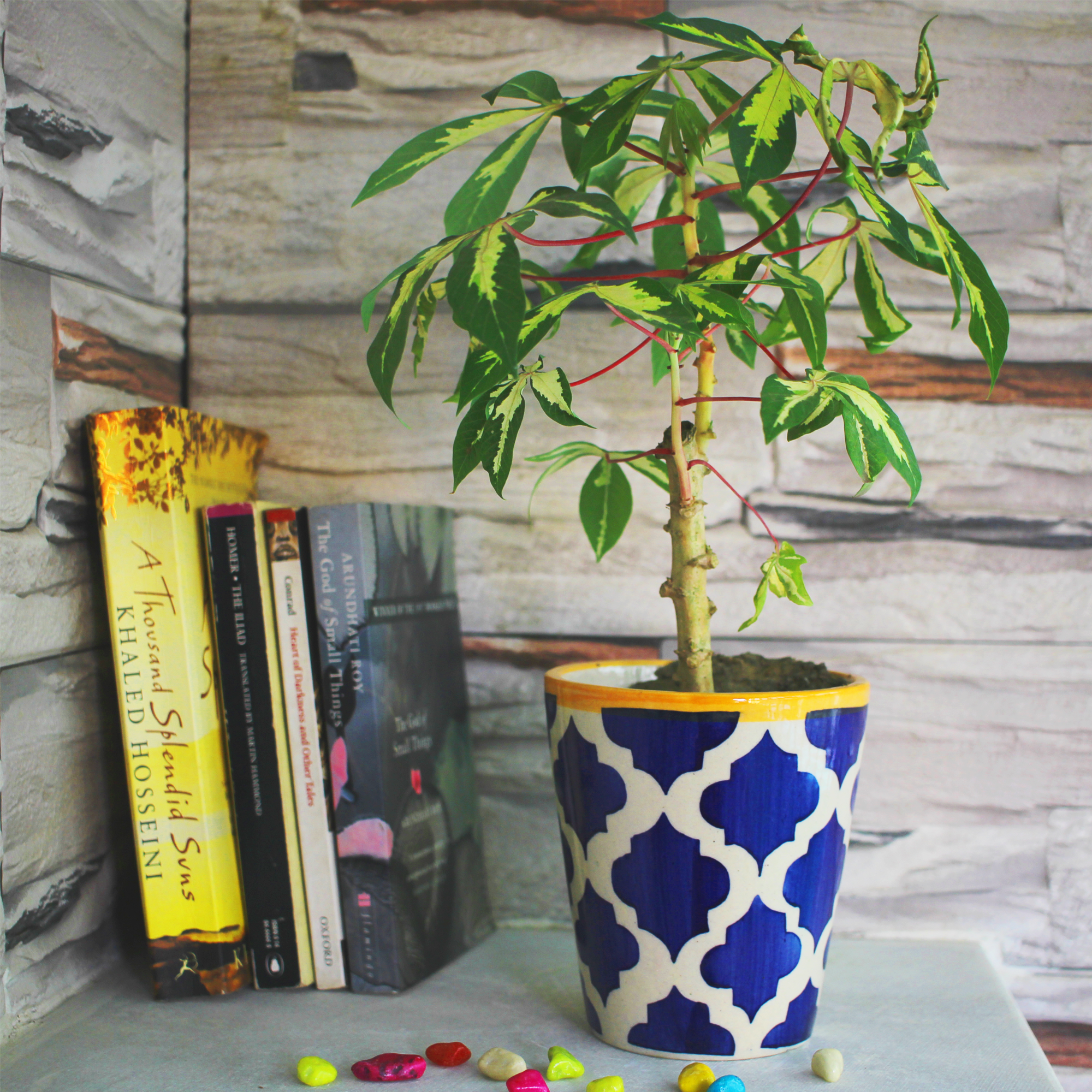 1 Moroccan Rose Ceramic Pot