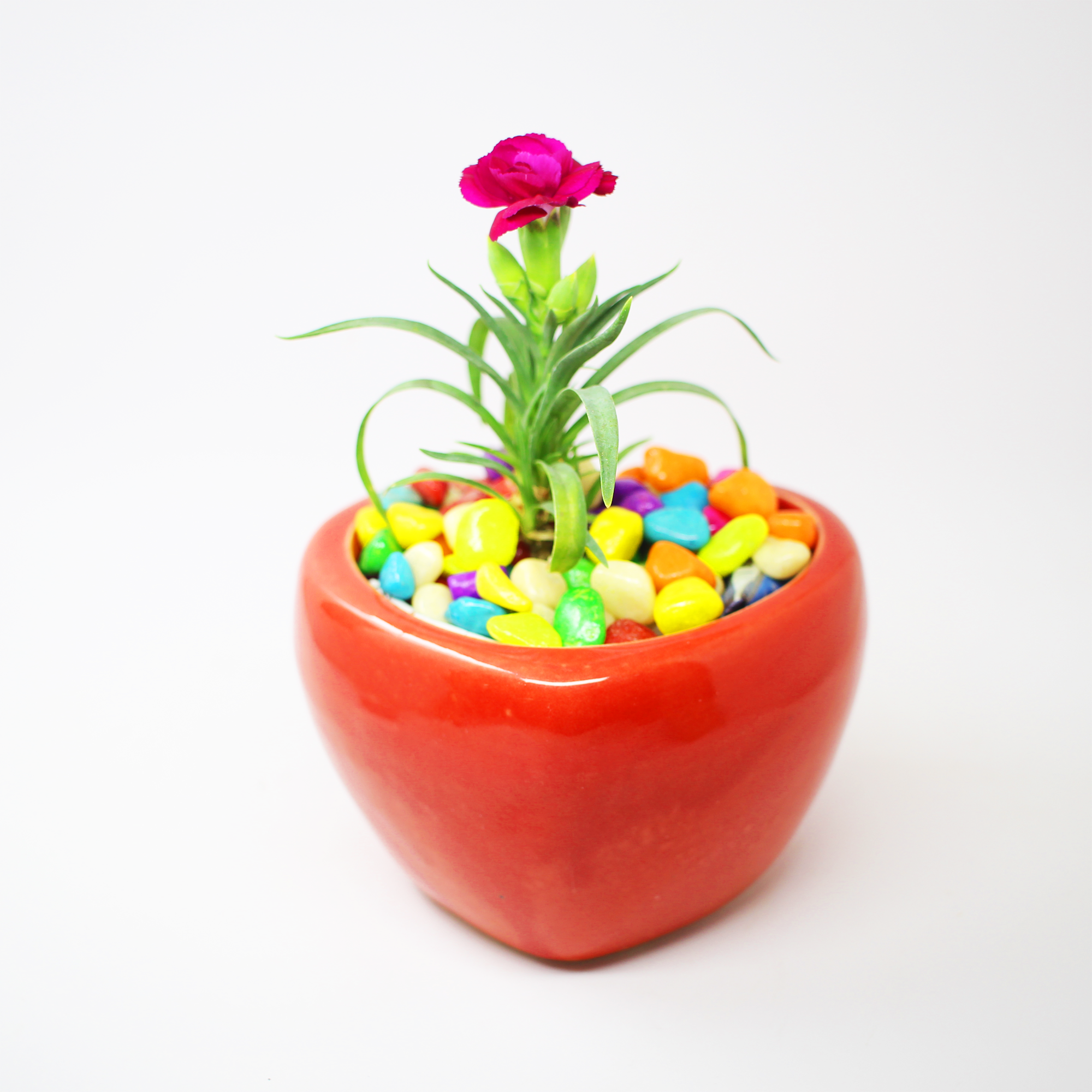 Red Heart Ceramic Pot