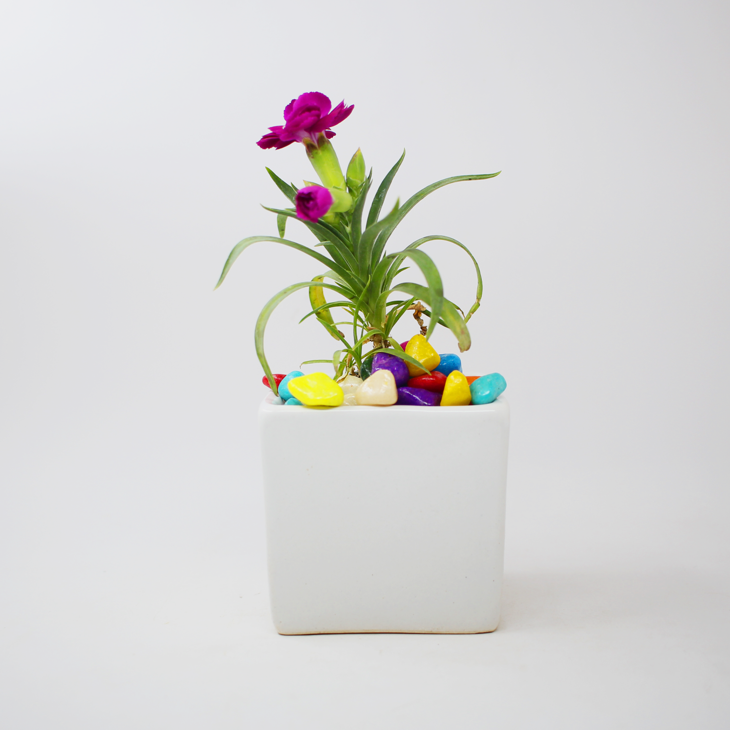 1 White Table Top Mini Square Planter