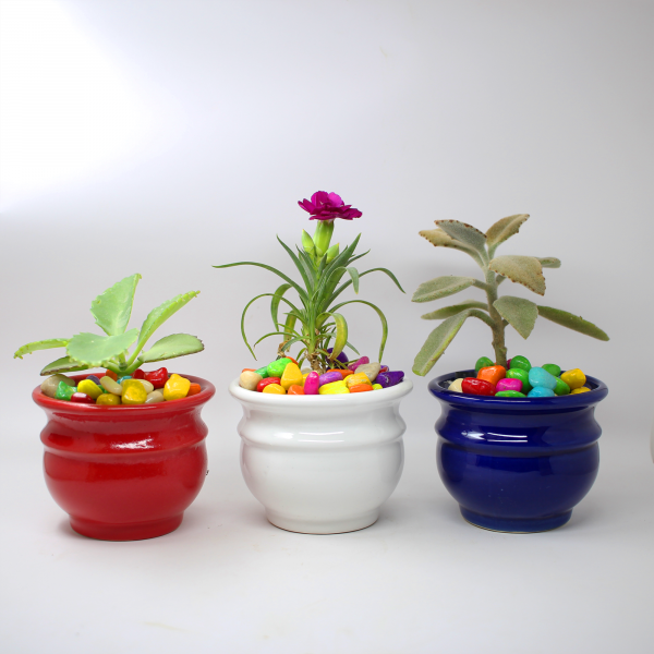 Handi Shape Ceramic Planter