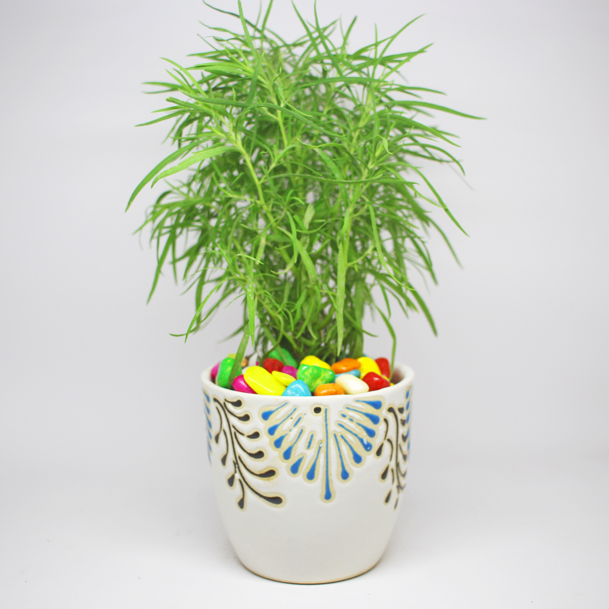 1 Rajasthani Hand Painted Ceramic Pot