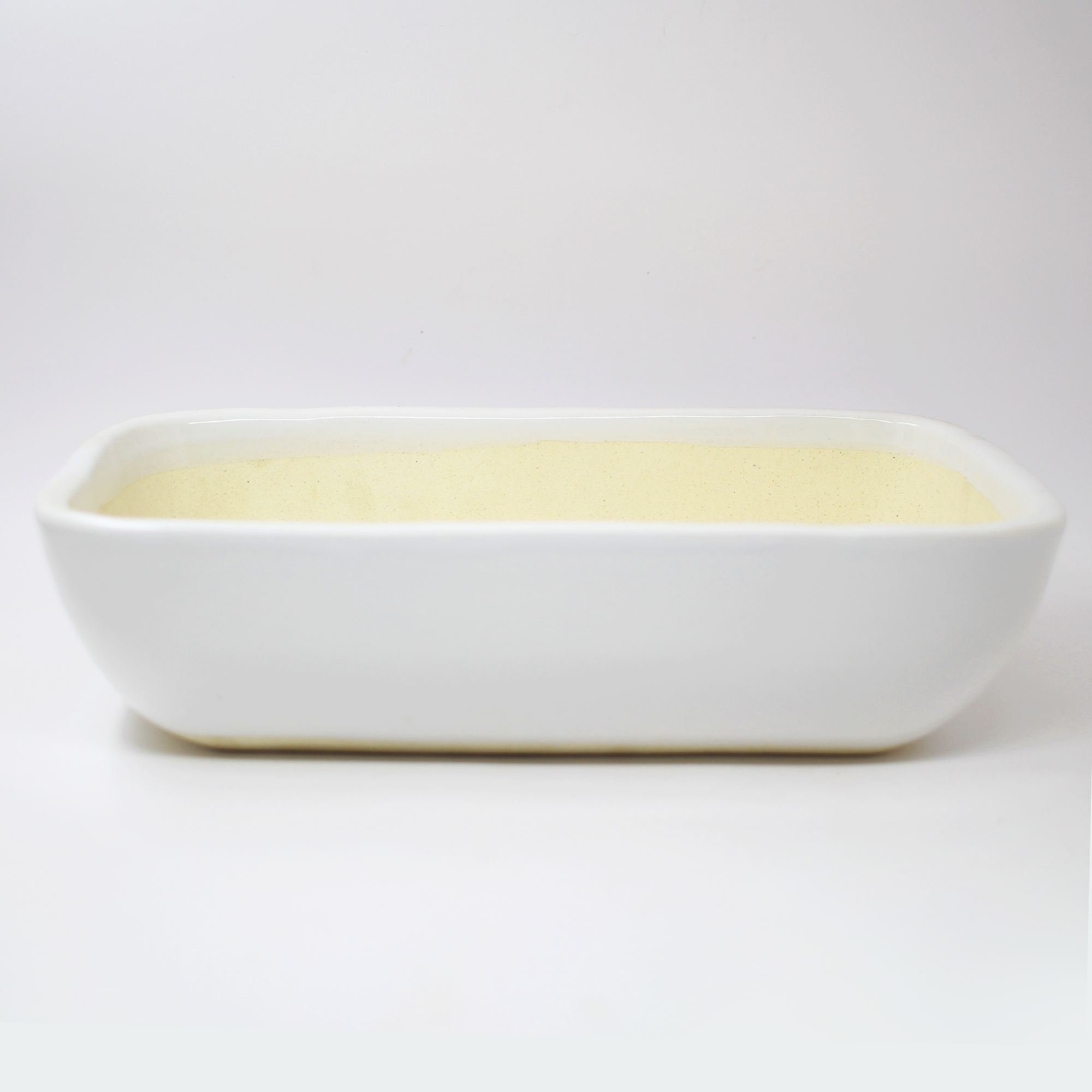 Ceramic Bonsai Large Tray Pot