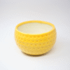 3 (3) Small Dot Ceramic Bowl Planter