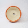 4 (2) Small Dot Ceramic Bowl Planter