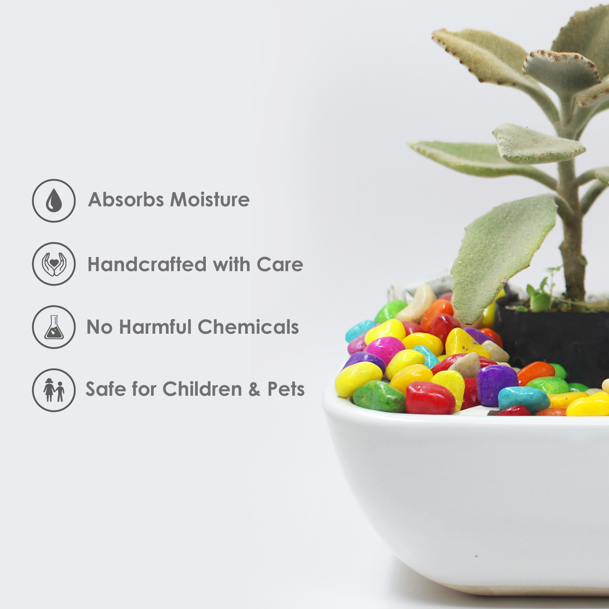 Ceramic Bonsai Large Tray Pot