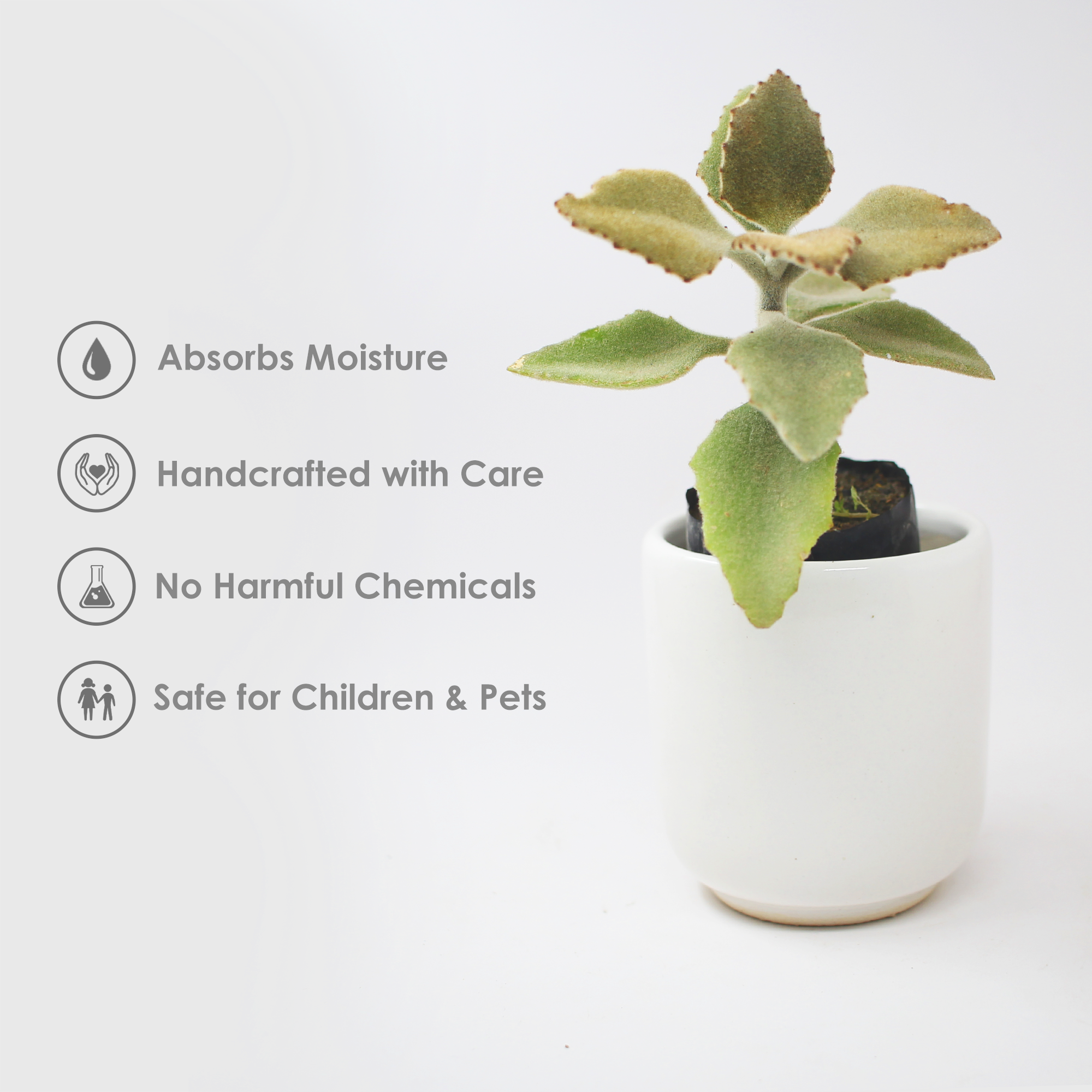 White Japanese Ceremonial Ceramic Planter