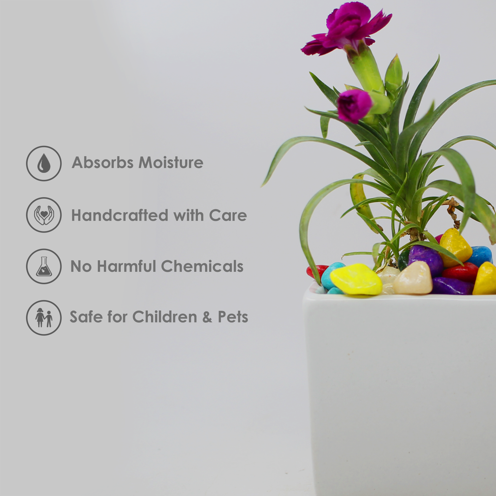 5 White Table Top Mini Square Planter