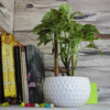6 (1) Small Dot Ceramic Bowl Planter