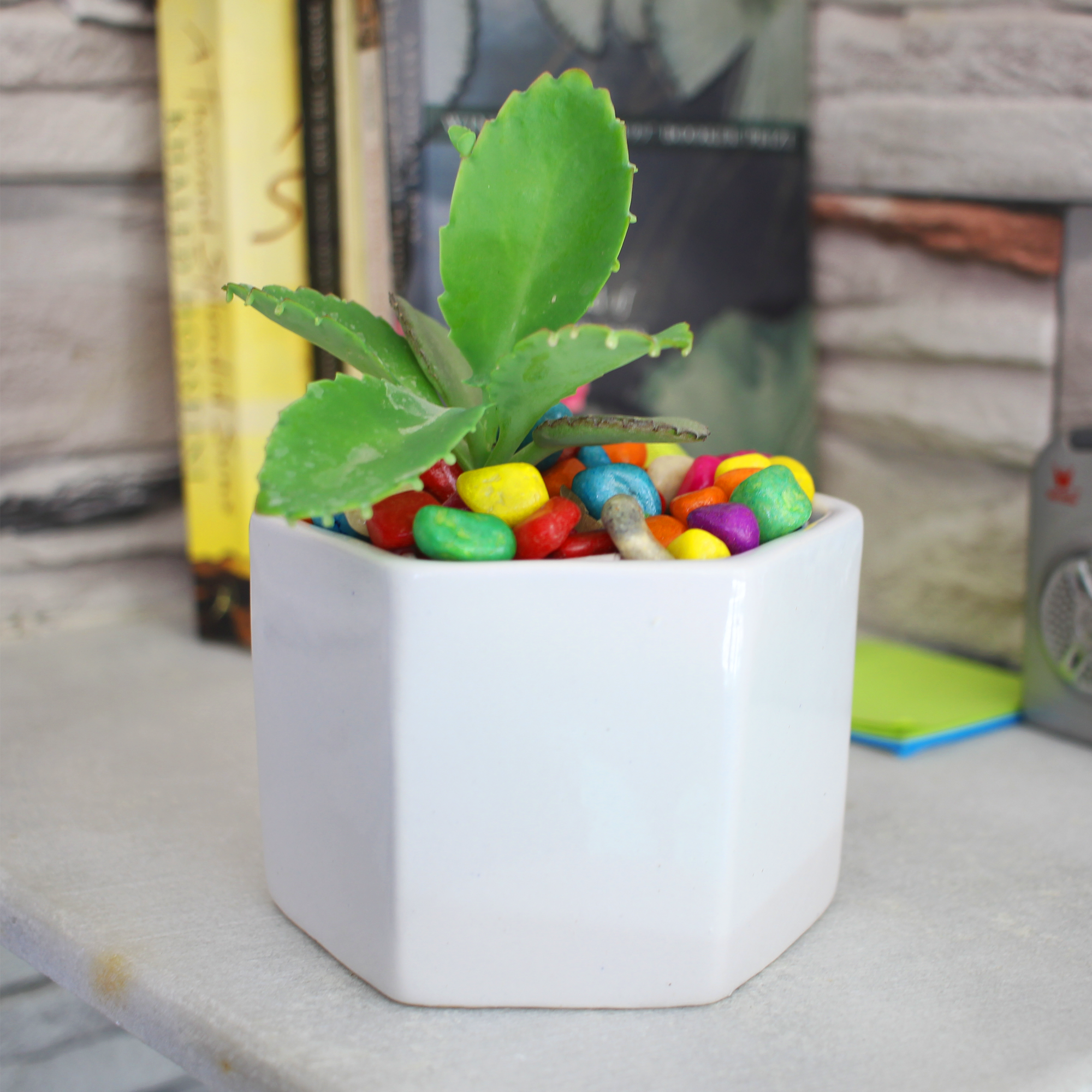 White Hexagon Ceramic Pot