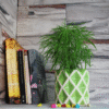 6 Diamond Texture Cylinder Ceramic Planter