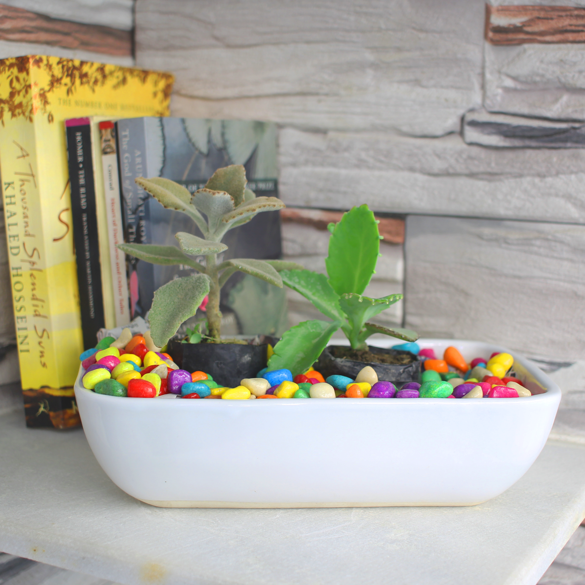Ceramic Bonsai Large Tray Pot
