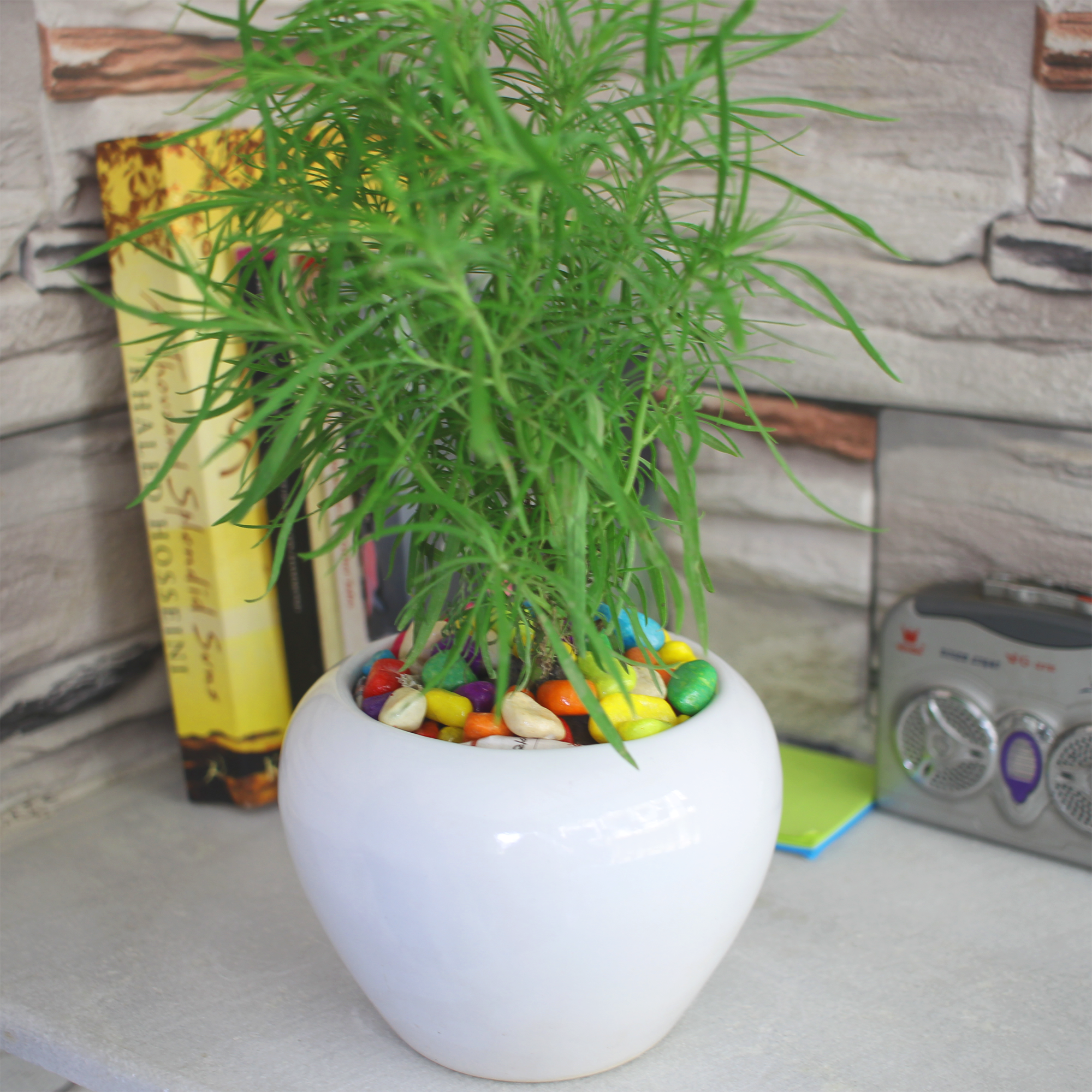 White Apple Cut Ceramic Planter