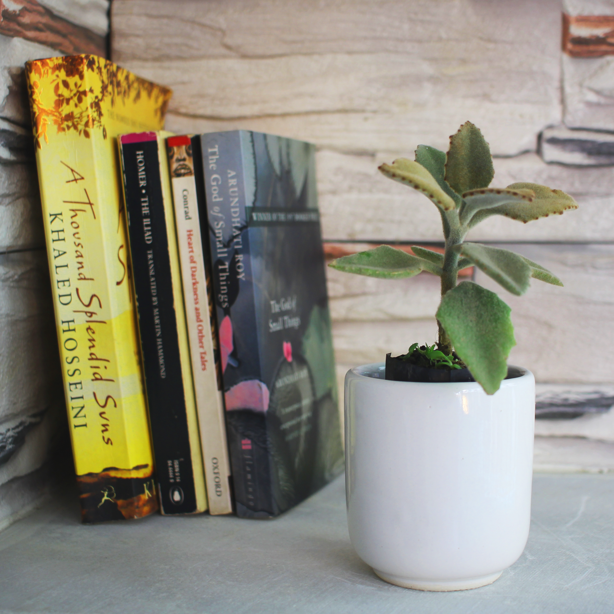 White Japanese Ceremonial Ceramic Planter