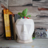 7 (10) Modern Man Face Ceramic Planter