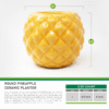 Round Pineapple Ceramic Planter
