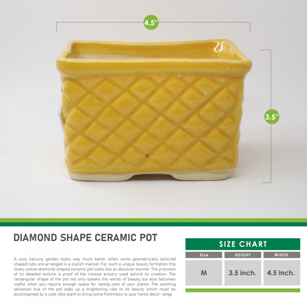 Diamond Shape Ceramic Pot