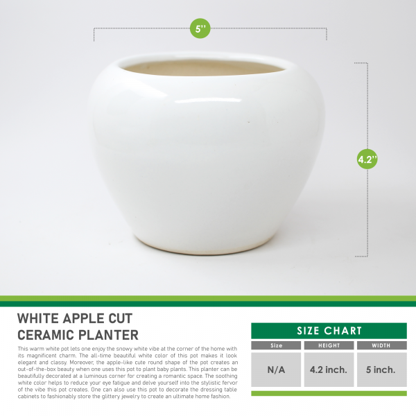 White Apple Cut Ceramic Planter