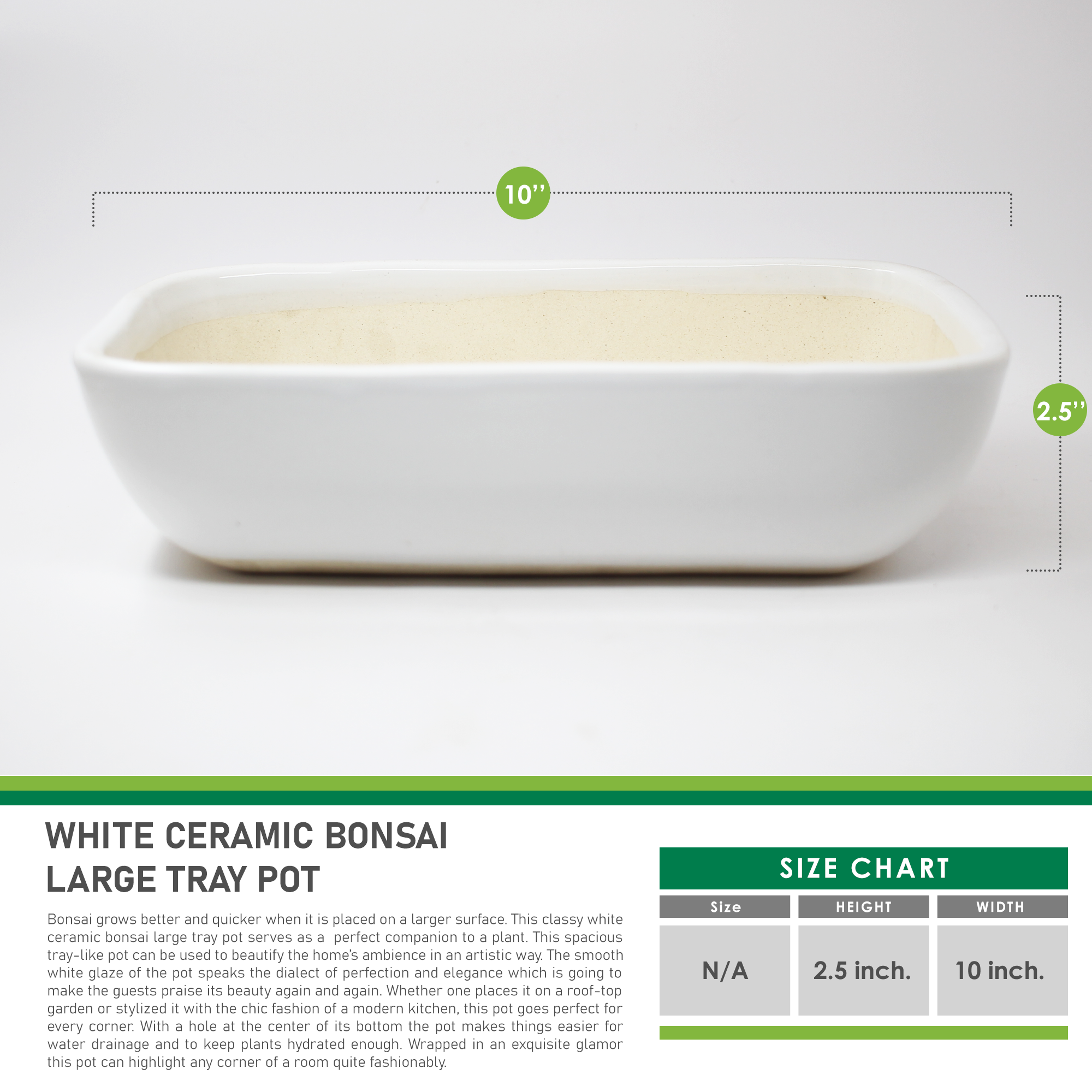 Ceramic Bonsai Large Tray Pot