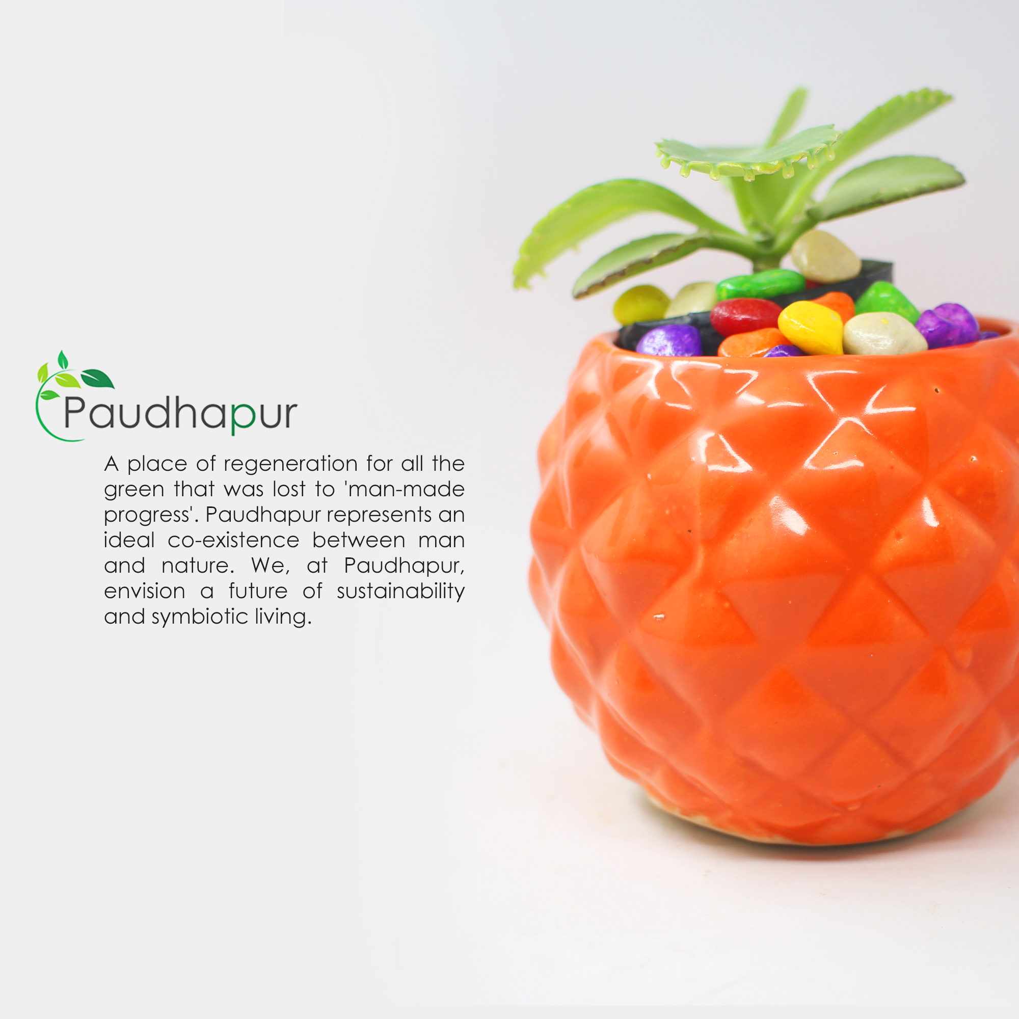 Round Pineapple Ceramic Planter
