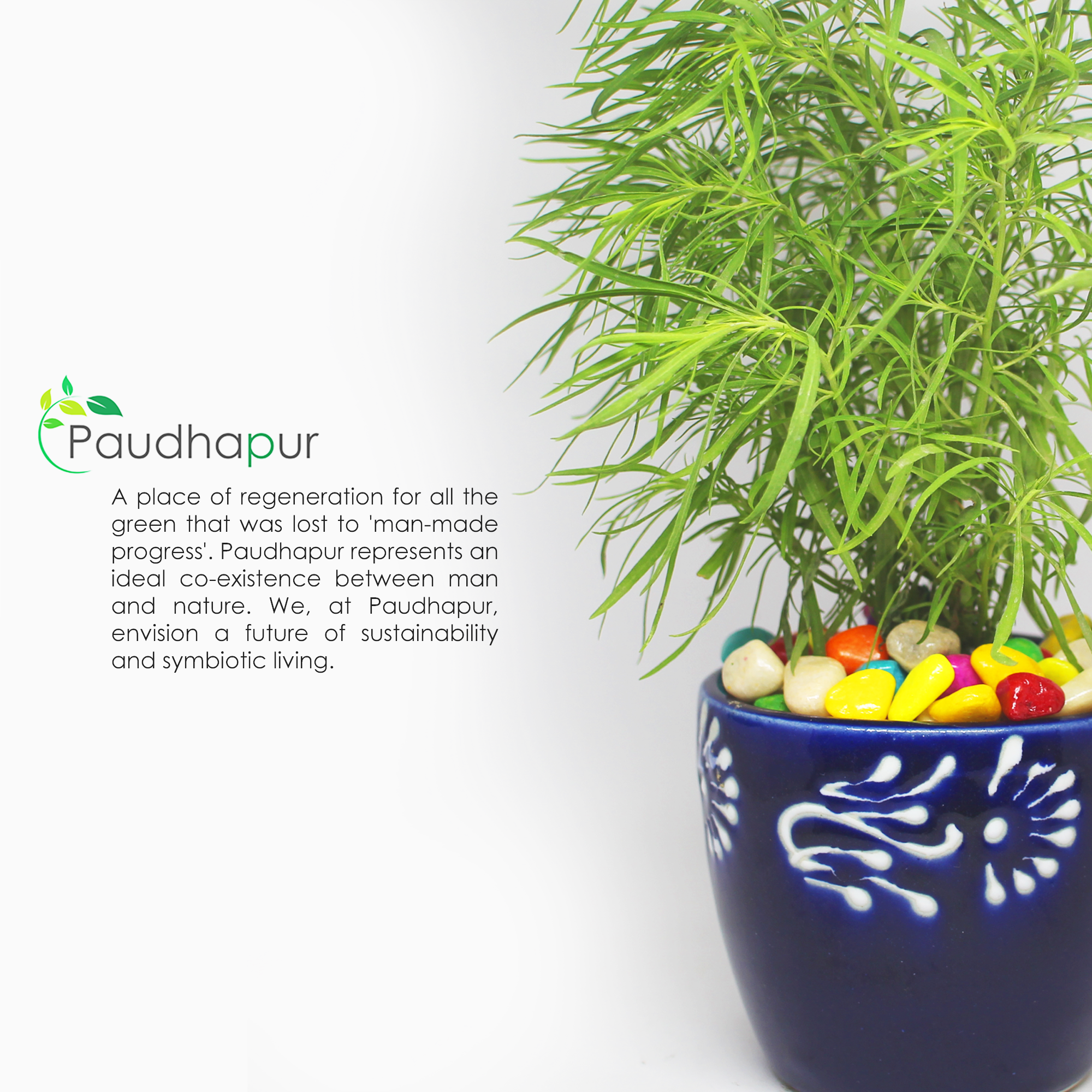 Rajasthani Hand Painted Ceramic Pot