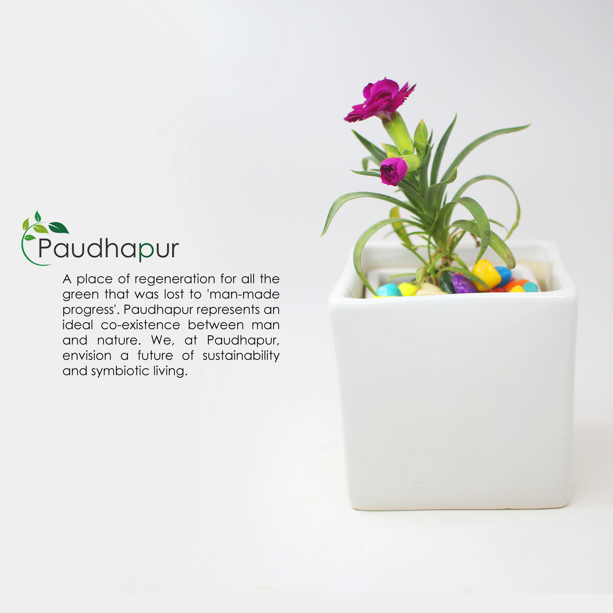 8 (5) White Square Medium Ceramic Planter