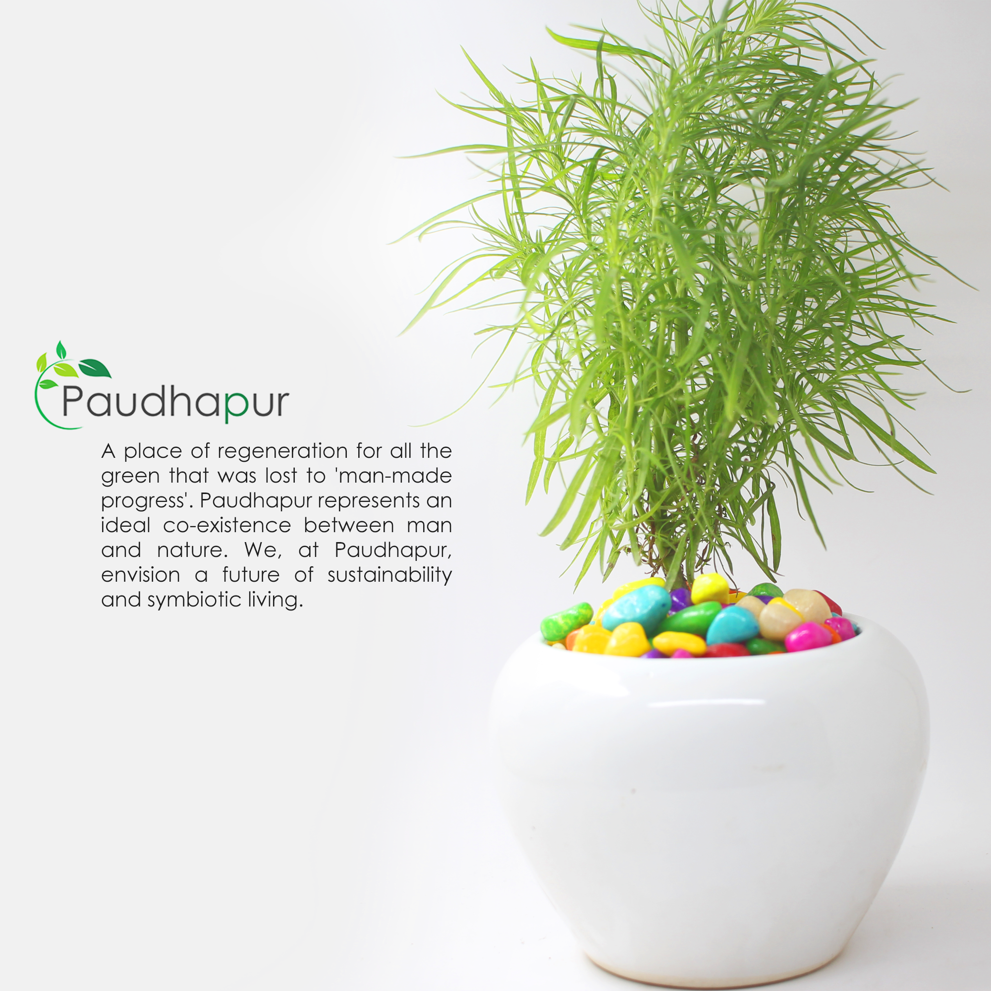 White Apple Cut Ceramic Planter