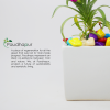 White Table Top Mini Square Planter