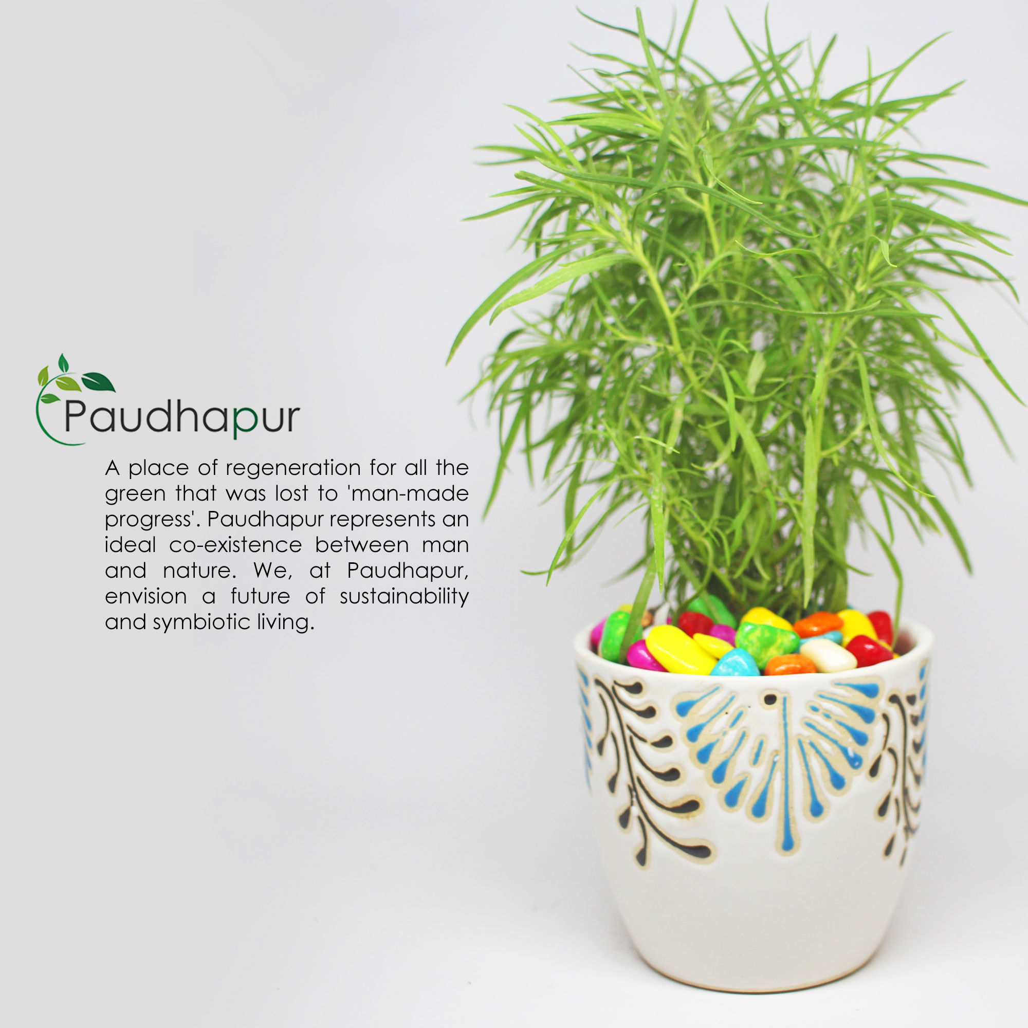 8 Rajasthani Hand Painted Ceramic Pot